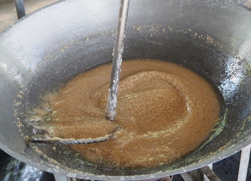 ココナッツオイル作り体験